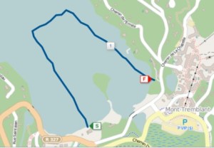 My actual swim, according to my Garmin. I did a mostly decent job sighting, at least.